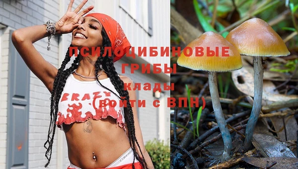 бошки Слюдянка