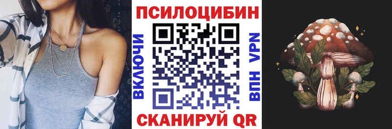 мега ТОР  сайты даркнета клад  Городовиковск  Галлюциногенные грибы Cubensis  наркотики 