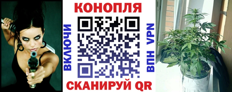 Шишки марихуана AK-47  купить закладку  Городовиковск 